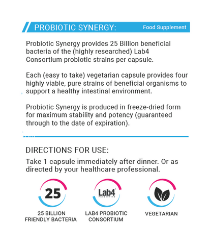 Probiotic Synergy | LAB4 Lactobacillus Probiotic in Vegetarian Capsules ...