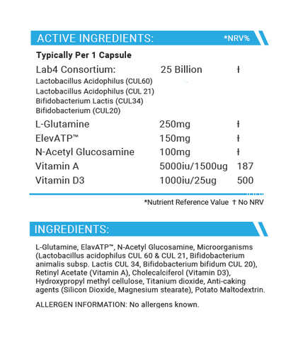 Probiotic Synergy | LAB4 Lactobacillus Probiotic in Vegetarian Capsules ...